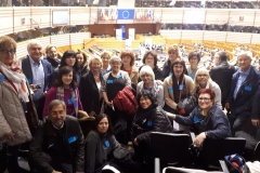 BIC project - Teams in EU Parliament