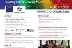 Pannello Progetto BIC